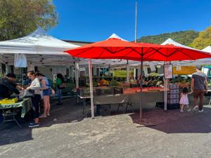 Los Gatos Farmers Market 2